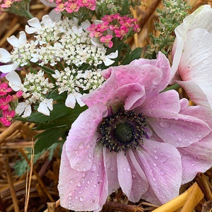 Flowers are a love language.