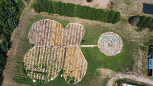 World's Only "Radish-Shaped Organic Veg Garden"